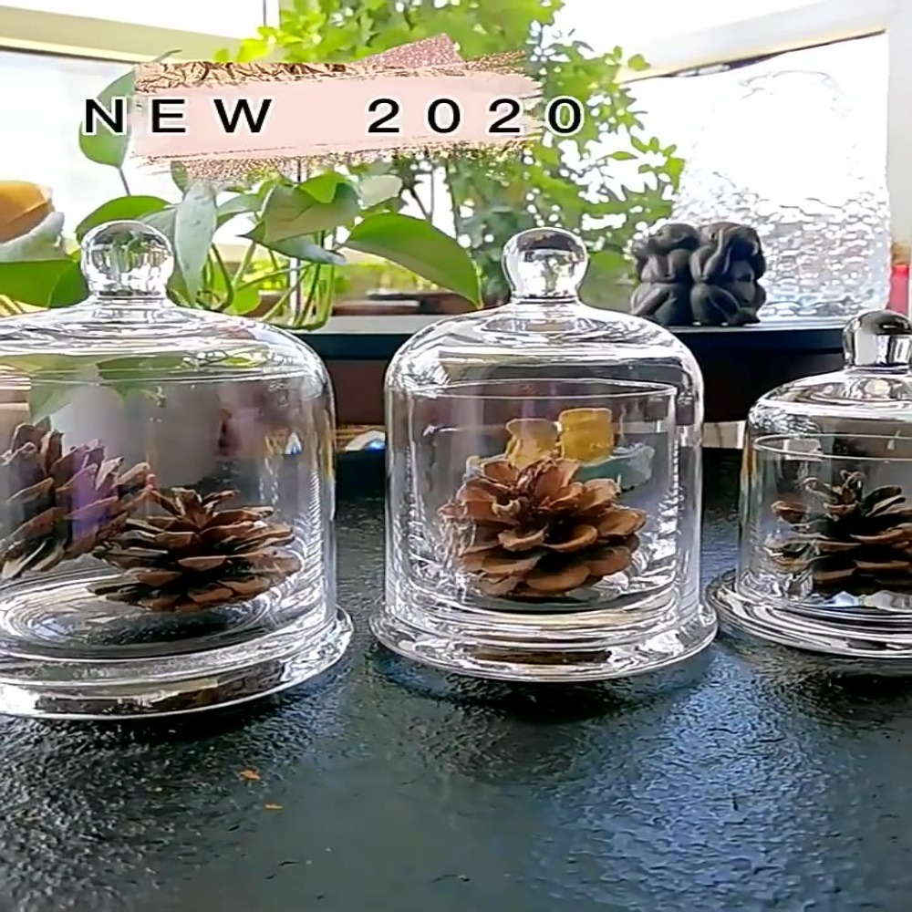Candle Making Jars With Lids - Barattolo in Vetro per Fiori Eterni,