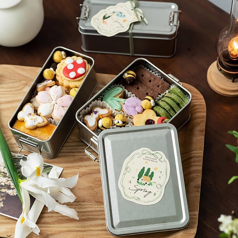 Scatola rettangolare in latta  - Tin Container Lid recensione e prezzo